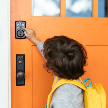 Ann Arbor smart locks